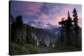 Landscape, Mount Rainier National Park, Washington State, United States of America, North America-Colin Brynn-Stretched Canvas