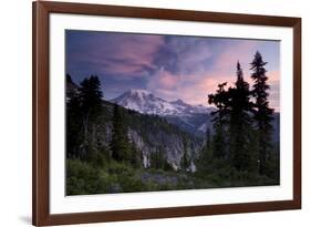 Landscape, Mount Rainier National Park, Washington State, United States of America, North America-Colin Brynn-Framed Photographic Print