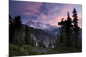 Landscape, Mount Rainier National Park, Washington State, United States of America, North America-Colin Brynn-Mounted Photographic Print