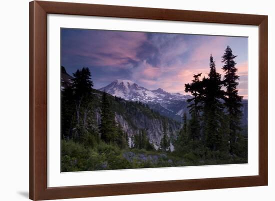 Landscape, Mount Rainier National Park, Washington State, United States of America, North America-Colin Brynn-Framed Photographic Print