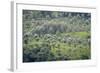 Landscape, Munnar, Kerala, India, Asia-Balan Madhavan-Framed Photographic Print