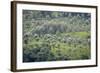 Landscape, Munnar, Kerala, India, Asia-Balan Madhavan-Framed Photographic Print