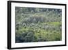 Landscape, Munnar, Kerala, India, Asia-Balan Madhavan-Framed Photographic Print