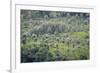 Landscape, Munnar, Kerala, India, Asia-Balan Madhavan-Framed Photographic Print