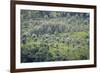 Landscape, Munnar, Kerala, India, Asia-Balan Madhavan-Framed Photographic Print