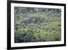 Landscape, Munnar, Kerala, India, Asia-Balan Madhavan-Framed Photographic Print