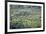 Landscape, Munnar, Kerala, India, Asia-Balan Madhavan-Framed Photographic Print