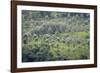 Landscape, Munnar, Kerala, India, Asia-Balan Madhavan-Framed Photographic Print