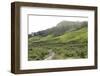 Landscape, Munnar, Kerala, India, Asia-Balan Madhavan-Framed Photographic Print