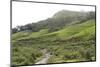 Landscape, Munnar, Kerala, India, Asia-Balan Madhavan-Mounted Photographic Print