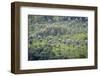 Landscape, Munnar, Kerala, India, Asia-Balan Madhavan-Framed Photographic Print