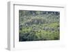 Landscape, Munnar, Kerala, India, Asia-Balan Madhavan-Framed Photographic Print