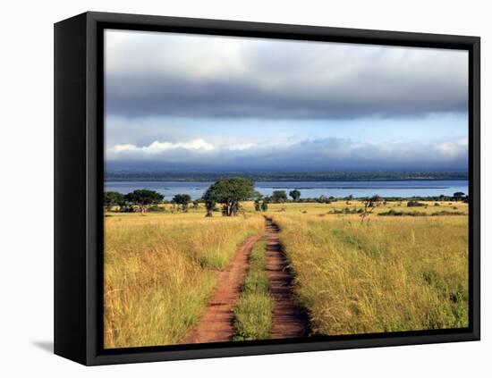 Landscape, Murchison Falls National Park, Uganda, East Africa-Ivan Vdovin-Framed Stretched Canvas