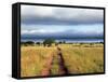 Landscape, Murchison Falls National Park, Uganda, East Africa-Ivan Vdovin-Framed Stretched Canvas