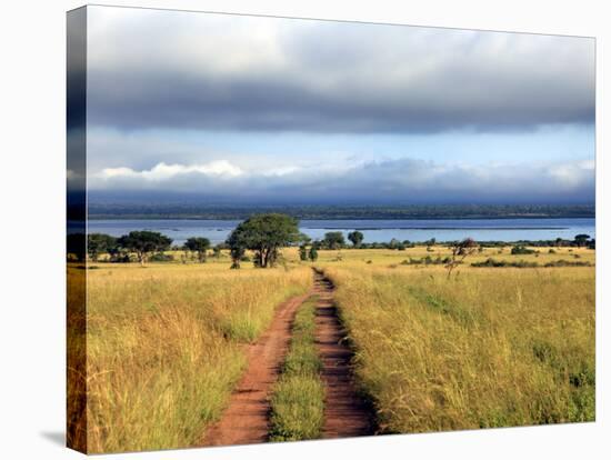 Landscape, Murchison Falls National Park, Uganda, East Africa-Ivan Vdovin-Stretched Canvas