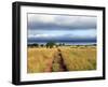 Landscape, Murchison Falls National Park, Uganda, East Africa-Ivan Vdovin-Framed Photographic Print