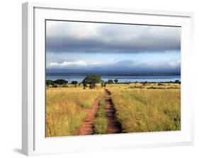 Landscape, Murchison Falls National Park, Uganda, East Africa-Ivan Vdovin-Framed Photographic Print