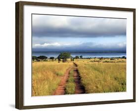 Landscape, Murchison Falls National Park, Uganda, East Africa-Ivan Vdovin-Framed Photographic Print