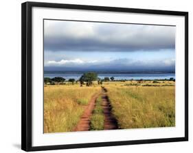 Landscape, Murchison Falls National Park, Uganda, East Africa-Ivan Vdovin-Framed Photographic Print