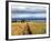 Landscape, Murchison Falls National Park, Uganda, East Africa-Ivan Vdovin-Framed Photographic Print