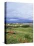 Landscape Near Ardara, County Donegal, Ulster, Eire (Republic of Ireland)-David Lomax-Stretched Canvas