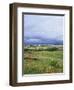 Landscape Near Ardara, County Donegal, Ulster, Eire (Republic of Ireland)-David Lomax-Framed Photographic Print