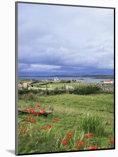 Landscape Near Ardara, County Donegal, Ulster, Eire (Republic of Ireland)-David Lomax-Mounted Photographic Print