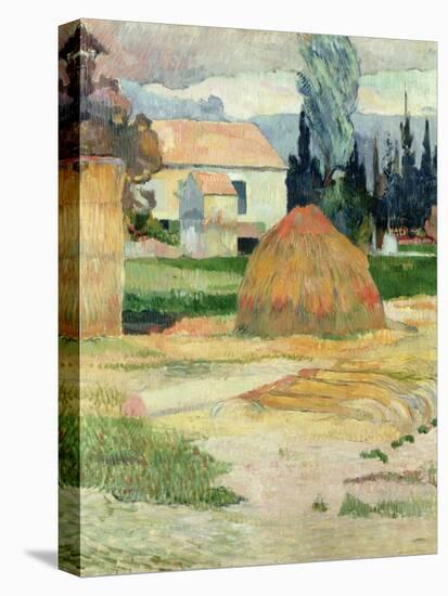 Landscape Near Arles, 1888-Paul Gauguin-Stretched Canvas