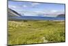 Landscape near Arnarfjordur fjord. The remote Westfjords (Vestfirdir) in northwest Iceland.-Martin Zwick-Mounted Photographic Print