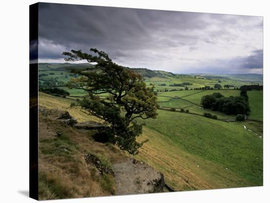 Landscape Near Austwick, Yorkshire Dales National Park, Yorkshire, England, United Kingdom, Europe-Patrick Dieudonne-Stretched Canvas