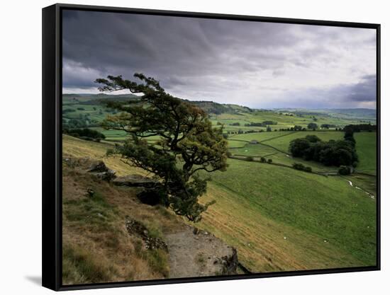 Landscape Near Austwick, Yorkshire Dales National Park, Yorkshire, England, United Kingdom, Europe-Patrick Dieudonne-Framed Stretched Canvas