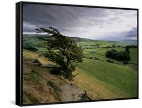 Landscape Near Austwick, Yorkshire Dales National Park, Yorkshire, England, United Kingdom, Europe-Patrick Dieudonne-Framed Stretched Canvas