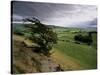 Landscape Near Austwick, Yorkshire Dales National Park, Yorkshire, England, United Kingdom, Europe-Patrick Dieudonne-Stretched Canvas