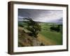 Landscape Near Austwick, Yorkshire Dales National Park, Yorkshire, England, United Kingdom, Europe-Patrick Dieudonne-Framed Photographic Print