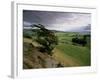 Landscape Near Austwick, Yorkshire Dales National Park, Yorkshire, England, United Kingdom, Europe-Patrick Dieudonne-Framed Photographic Print