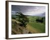 Landscape Near Austwick, Yorkshire Dales National Park, Yorkshire, England, United Kingdom, Europe-Patrick Dieudonne-Framed Photographic Print