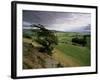 Landscape Near Austwick, Yorkshire Dales National Park, Yorkshire, England, United Kingdom, Europe-Patrick Dieudonne-Framed Photographic Print