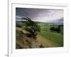 Landscape Near Austwick, Yorkshire Dales National Park, Yorkshire, England, United Kingdom, Europe-Patrick Dieudonne-Framed Photographic Print