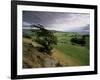 Landscape Near Austwick, Yorkshire Dales National Park, Yorkshire, England, United Kingdom, Europe-Patrick Dieudonne-Framed Photographic Print