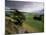 Landscape Near Austwick, Yorkshire Dales National Park, Yorkshire, England, United Kingdom, Europe-Patrick Dieudonne-Mounted Photographic Print