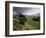 Landscape Near Austwick, Yorkshire Dales National Park, Yorkshire, England, United Kingdom, Europe-Patrick Dieudonne-Framed Photographic Print