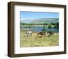 Landscape near Ballyvaughan, County Clare, Munster, Ireland-null-Framed Art Print