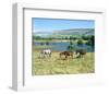 Landscape near Ballyvaughan, County Clare, Munster, Ireland-null-Framed Art Print