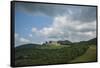 Landscape near Brolio Castle-Guido Cozzi-Framed Stretched Canvas