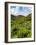 Landscape near cave Algar do Carvao. Terceira Island, Azores, Portugal.-Martin Zwick-Framed Photographic Print