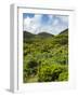 Landscape near cave Algar do Carvao. Terceira Island, Azores, Portugal.-Martin Zwick-Framed Photographic Print