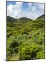 Landscape near cave Algar do Carvao. Terceira Island, Azores, Portugal.-Martin Zwick-Mounted Photographic Print