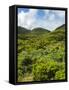 Landscape near cave Algar do Carvao. Terceira Island, Azores, Portugal.-Martin Zwick-Framed Stretched Canvas