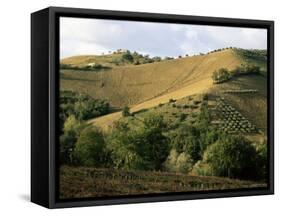 Landscape Near Chieti, Abruzzo, Italy-Michael Newton-Framed Stretched Canvas