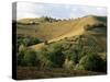 Landscape Near Chieti, Abruzzo, Italy-Michael Newton-Stretched Canvas